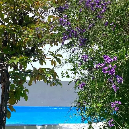 Casa Da Peixa Homestay szállás Estói